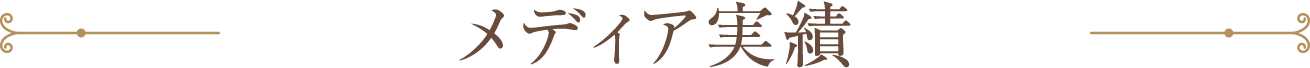 メディア実績