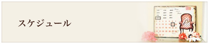スケジュール